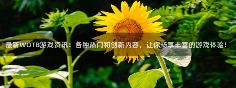 蓝冠娱乐注册开户：最新WOTB游戏资讯：各种热门和创新内容，