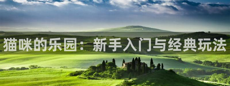 蓝冠娱乐怎么注册：猫咪的乐园：新手入门与经典玩法