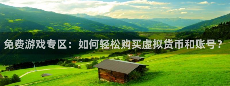 蓝冠娱乐平台注册资金多少：免费游戏专区：如何轻松购买虚拟货币
