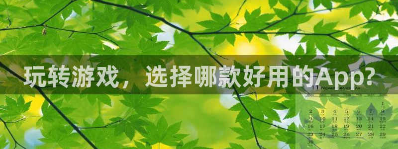 蓝冠娱乐Ii：玩转游戏，选择哪款好用的App?