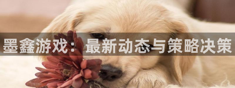 蓝冠娱乐2首页登录：墨鑫游戏：最新动态与策略决策