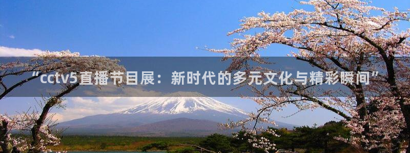小九直播篮球：“cctv5直播节目展：新时代的多元文化与精彩瞬间”