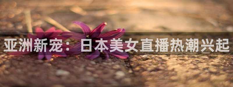 小九体育直播在线观看免费高清：亚洲新宠：日本美女直播热潮兴起