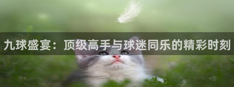 小九足球直播在线观看免费：九球盛宴：顶级高手与球迷同乐的精彩时刻