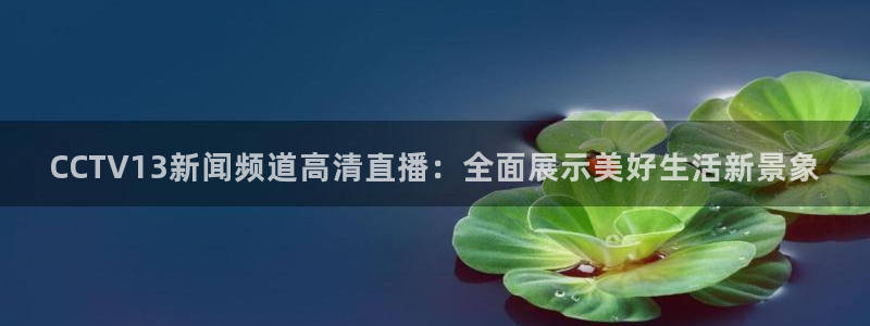 小九足球直播：CCTV13新闻频道高清直播：全面展示美好生活新景象