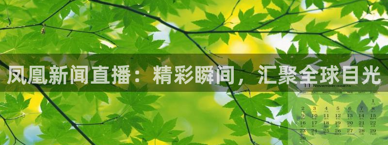 小九直播nba：凤凰新闻直播：精彩瞬间，汇聚全球目光