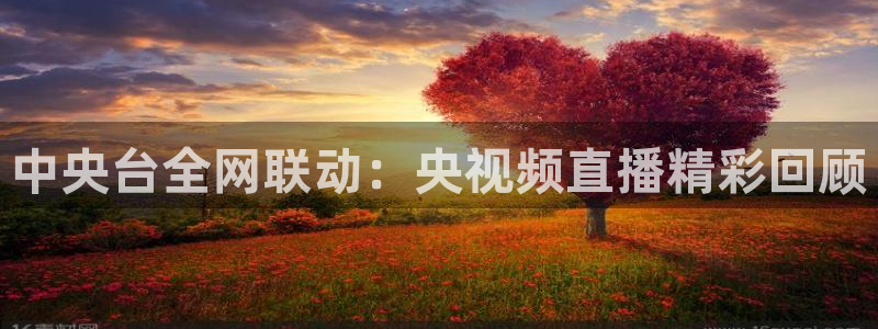 小九nba直播在线观看：中央台全网联动：央视频直播精彩回顾