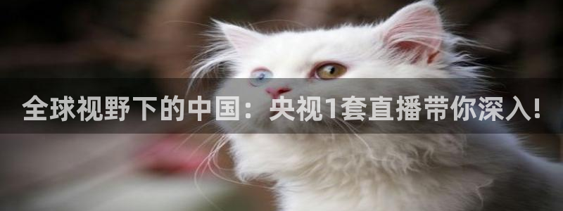 小九足球高清免费直播：全球视野下的中国：央视1套直播带你深入!