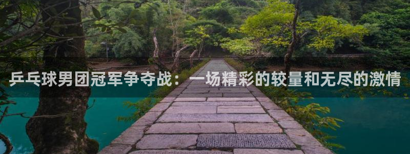 小九直播免费体育直播：乒乓球男团冠军争夺战：一场精彩的较量和无尽的激情