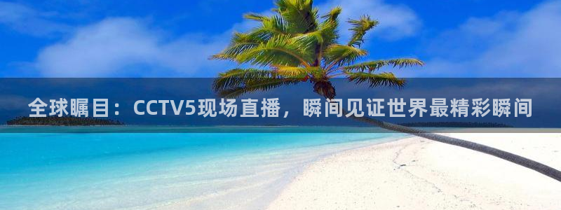 nba直播小九直播：全球瞩目：CCTV5现场直播，瞬间见证世界最精彩瞬间
