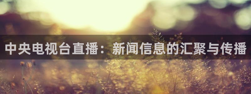小九在哪直播：中央电视台直播：新闻信息的汇聚与传播