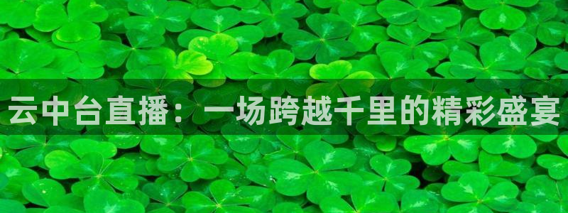 小九直播体育免费观看：云中台直播：一场跨越千里的精彩盛宴